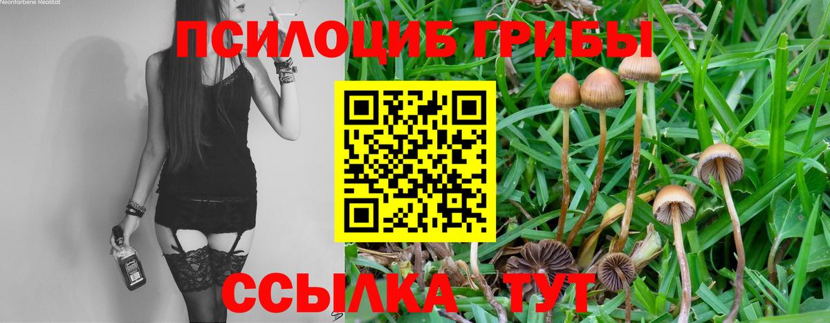 Рославль  Псилоцибиновые грибы мухоморы  Вход с VPN 