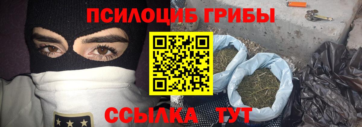 Псилоцибиновые грибы прущие грибы Рославль